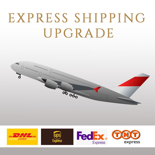 Book upgrade to shipping with express courier